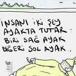 Faydasız Bilgiler